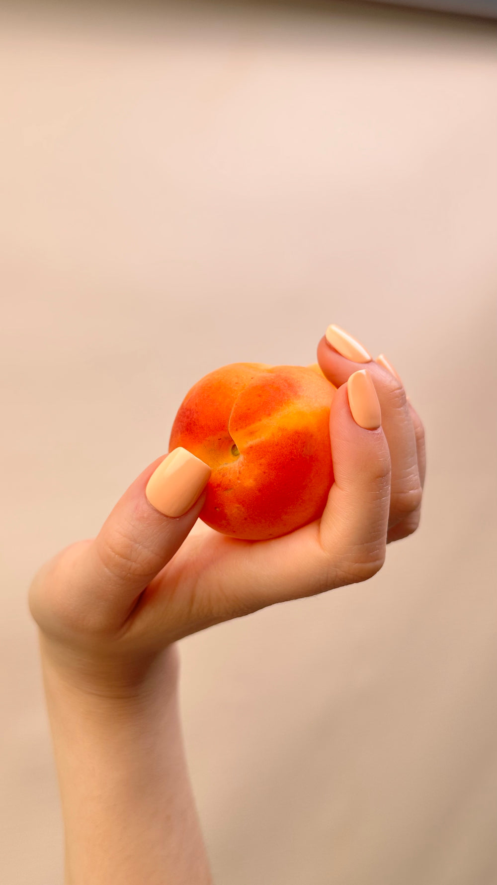 Peach Sorbet