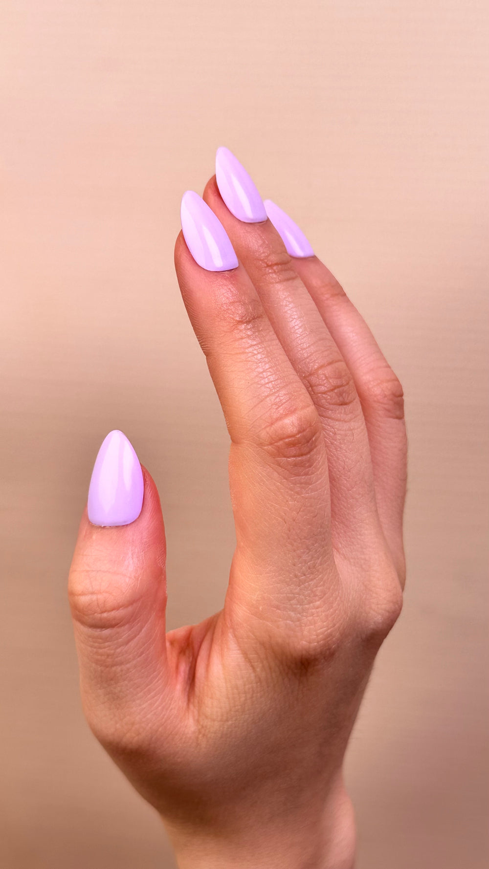 Sweet Lavander