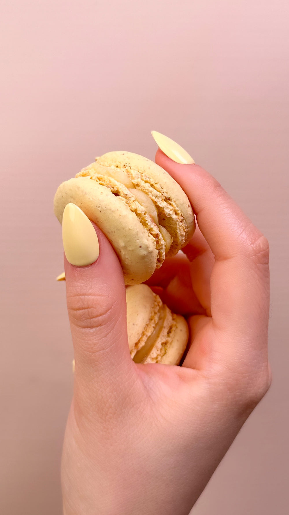 Lemon Macaron