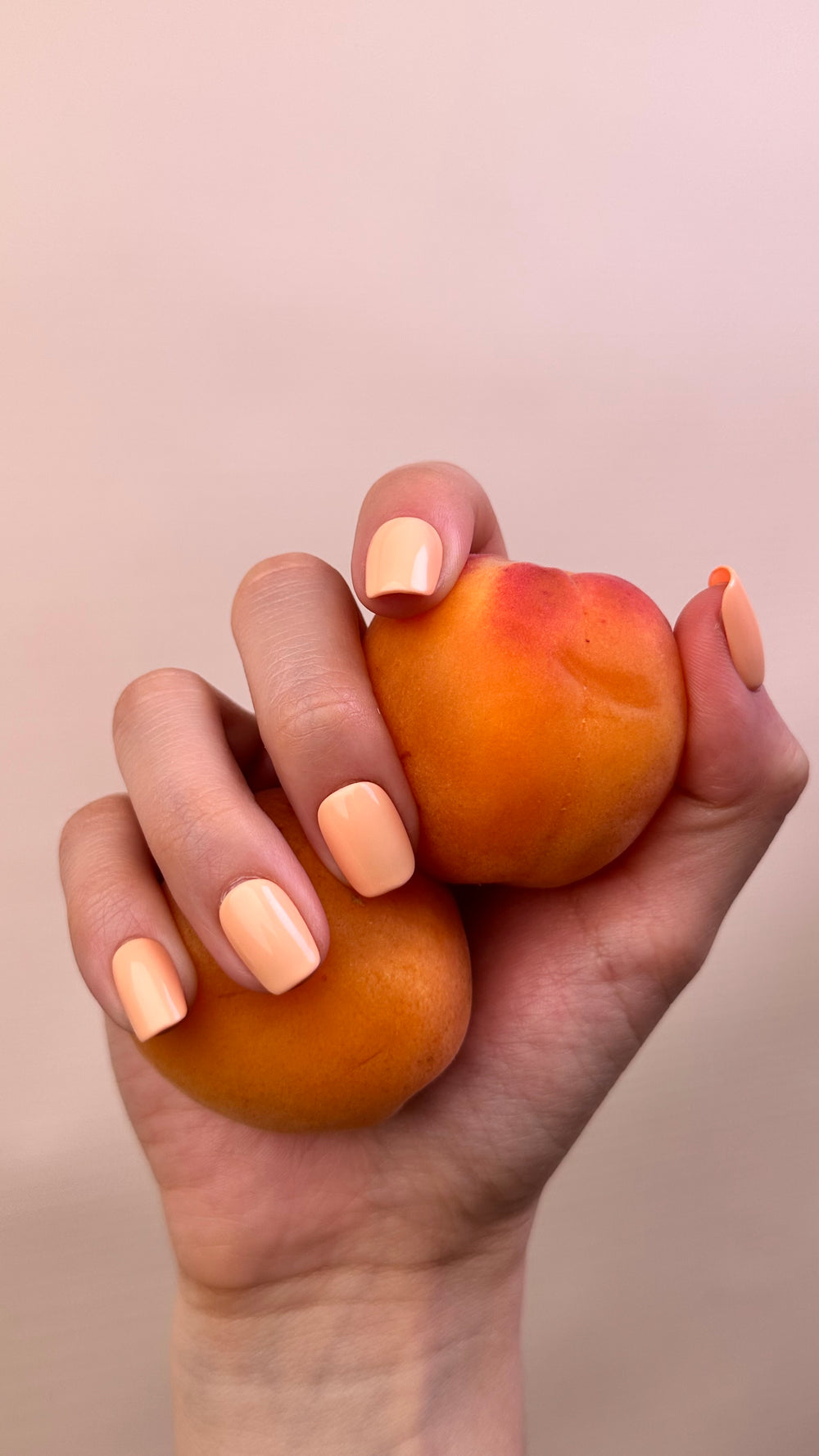 Peach Sorbet